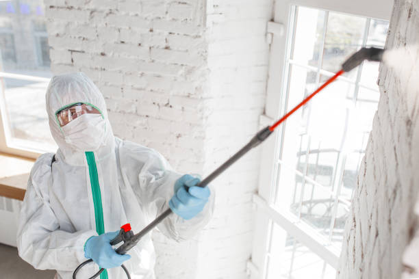 Best Forensic Mold Investigation  in Allentown, PA