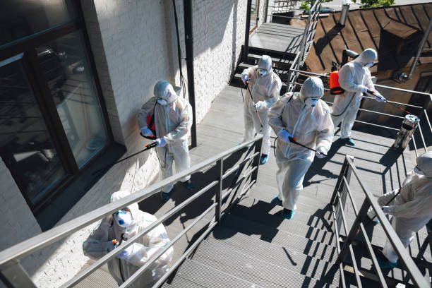 Best Mold Removal for HVAC Installations  in Allentown, PA