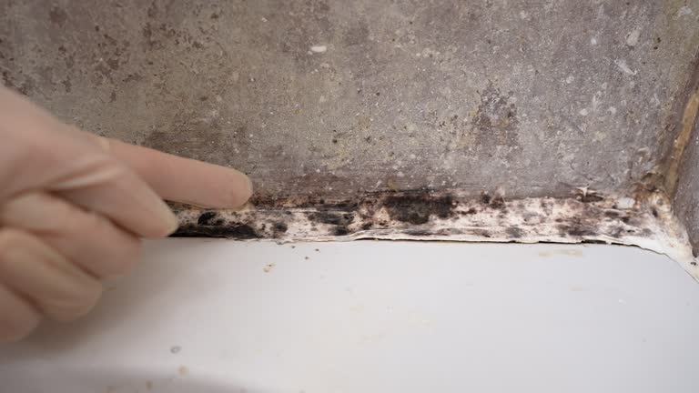 Best Residential Mold Inspection & Testing  in Allentown, PA